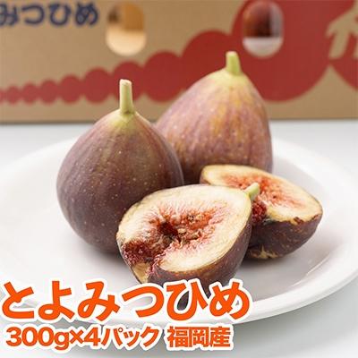 ふるさと納税 春日市 【先行受付】【春日】福岡限定!ブランドいちじく「とよみつひめ」約300g×4パック |  | 01