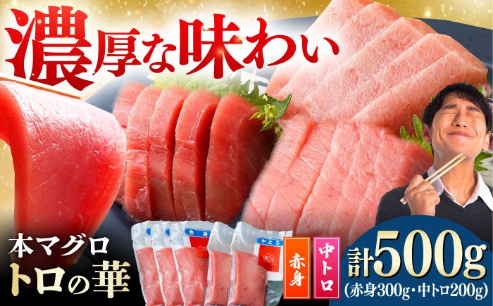 
            対馬産 本マグロ 500g（赤身300g、中トロ200g） ≪対馬市≫【桐谷商店】 [WAQ043]
          