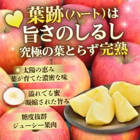 【27年4月から順次発送】平均糖度13度以上! 葉とらずサンふじ 約10kg 訳あり クール便【配送不可地域：離島・沖縄県】【1717799】