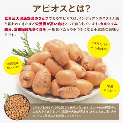 ふるさと納税 鳥取市 アピオス健康セット |  | 01