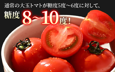 【先行予約】《定期便3回》高糖度 ミディトマト 越のルビー 約2kg 10パック（計約6kg）／ 福井県産 ブランドトマト 中玉 農家直送  野菜 フルーツ並み 甘い 有機肥料 低農薬 サラダ  ※2