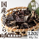 【ふるさと納税】国産きくらげ(計120g・3袋)国産 きくらげ キクラゲ 常温 常温保存【九南サービス(タマチャンショップ)】