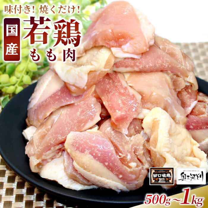 【ふるさと納税】〈選べる容量〉奥三河どり使用！ 田口塩鶏 味付け もも肉 1kg 500g 塩ダレ 味付け肉 鶏肉 鶏 肉 キャンプ バーベキュー 味付け肉 大容量 手軽 焼くだけ 地鶏 焼肉 焼き鳥 5000円 10000円 10000 -176