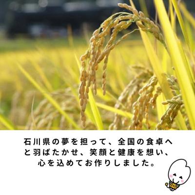 ふるさと納税 小松市 【先行予約】 令和8年産 小松市産 ゆめみづほ 精米 10kg(5kg×2袋) |  | 03