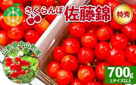 《2026年先行予約》山形県中山町産さくらんぼ《佐藤錦特秀品》 700g Lサイズ以上 数量限定 山形県産 サクランボ フルーツ 果物 F4A-0106
