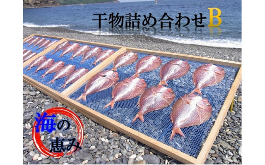 
熊野干物詰め合わせ 海の恵み B 鯛 サンマ アジ カマス ブリ カワハギ スルメ 人気 干物セット
