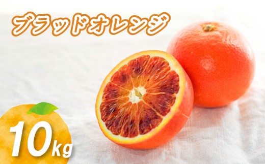 【2027年2月上旬頃より順次発送】ブラッドオレンジ 10kg | 数量選択可 みかん ミカン 蜜柑 柑橘 数量限定 愛媛県産 松山市 中島 低農薬 愛媛 送料無料