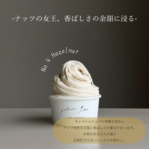 イタリアンジェラート１２個セット アイス アイスクリーム イタリアン ジェラート ミルク チョコレート ピスタチオ ヘーゼルナッツ 詰め合わせ 岩手県 北上市 E0314 ジェラテリア イト スイーツ
