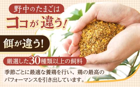 【6回定期便】産みたて新鮮卵 野中のたまご  80個×6回 計480個【野中鶏卵】 [OAC008]