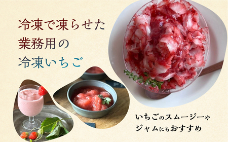 【2026年5月より発送】《 業務用の大袋 》 加工向きな 冷凍いちご 品種おまかせ 1.5kg 簡易梱包 サイズ 不揃い のため 訳あり 訳アリ フルーツ 果物 苺 いちご イチゴ アイス 紅ほっぺ