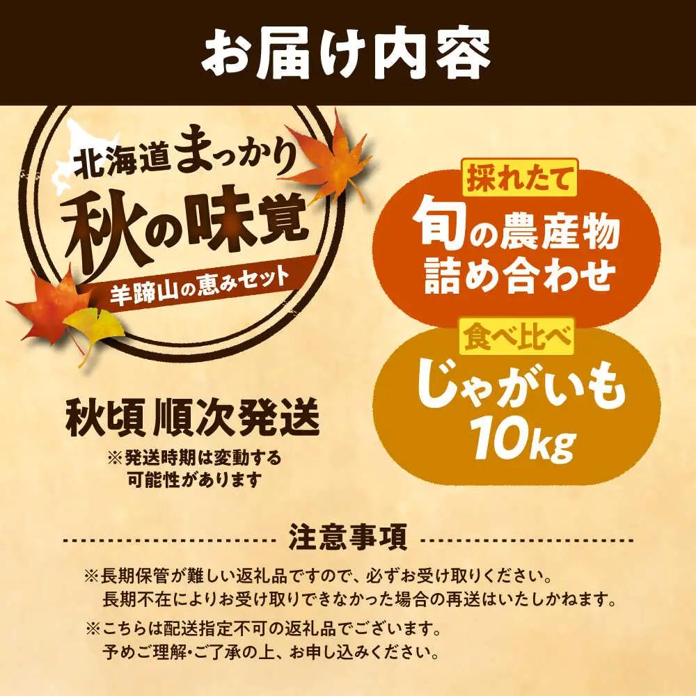 【先行予約】 秋の味覚セット（大）[BPAM004] 野菜セット 北海道