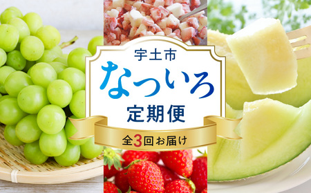 T007-natuiro　【宇土市】なついろ定期便