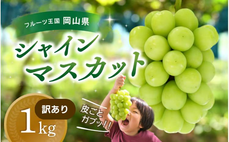 【2027年先行予約】ぶどう 訳あり 花笑み農園の シャインマスカット 1kg / ぶどう ブドウ 葡萄 岡山 シャインマスカット 先行予約 フルーツ 果物 真庭市 【hana035-03】
