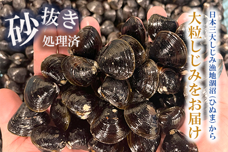 涸沼産 大粒 冷凍 シジミ 1.5kg 干物 3点セット （サバ ホッケ 目光） しじみ 蜆 大和しじみ ヤマトシジミ 大玉 砂抜き済 冷凍 味噌汁 スープ 魚貝類 貝 オルニチン コハク酸 サバ ホ