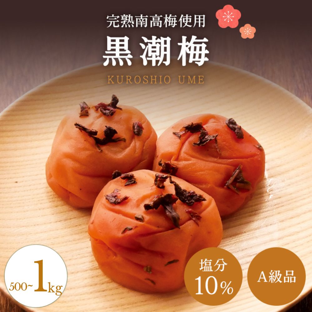 【ふるさと納税】【A級品】 紀州南高梅 黒潮梅 500g 1kg 塩分10％ / 梅干し 梅干 うめぼし 南高梅 国産 梅 うめ ウメ 完熟 しそ 紫蘇 シソ かつお 鰹 カツオ 健康 ご飯のお供 昔ながら 贈り物 ギフト プレゼント 和歌山県 田辺市 仙宝