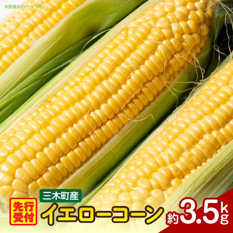 【ふるさと納税】三木町産 ゴールドラッシュ 約3.5kg ゴールドラッシュ とうもろこし 野菜 コーン イエローコーン 旬の野菜 旬 季節の野菜 季節 贈答 贈り物 ギフト プレゼント おすそ分け グルメ お取り寄せ 人気 おすすめ 特産 特産品 生鮮食品 香川県 三木町 送料無料