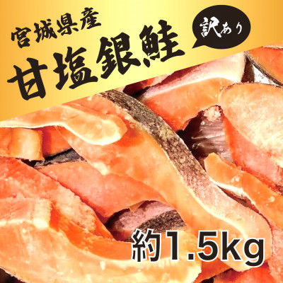 訳あり　銀鮭　宮城県産　甘塩　切身　約1.5kg　国産　/　宮城県　女川町【配送不可地域：離島】