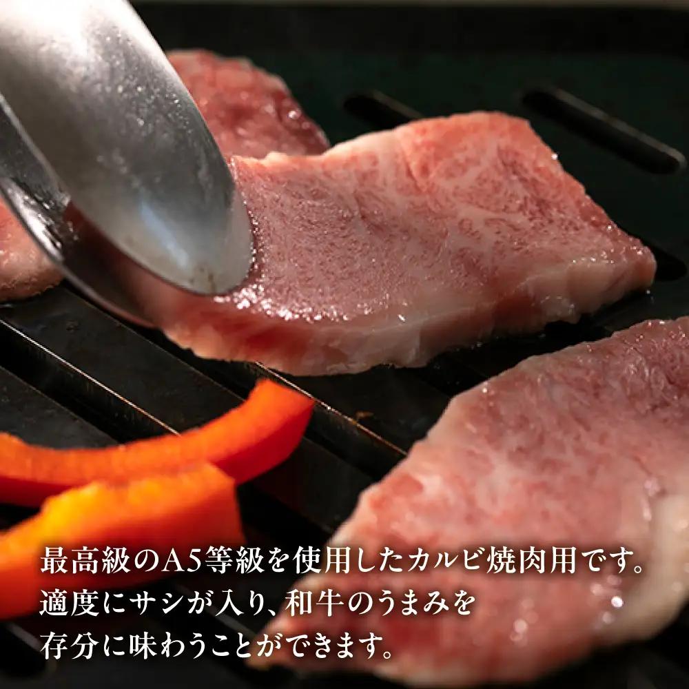 A5飛騨牛 焼き肉 300g | 焼き肉