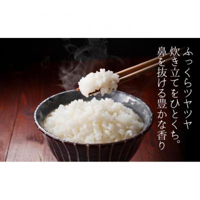 ふるさと納税 新潟市 堆肥で育てた 新潟産 こしひかり 5kg [54070806] |  | 02