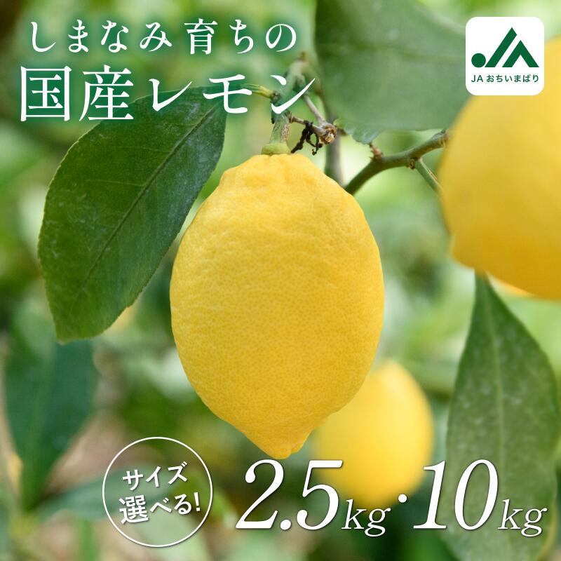 【ふるさと納税】【先行予約】レモン 約2.5kg・10kg【KC00790】2026年12月初旬～2027年2月末に順次発送予定 たっぷり 大容量 ふるさと納税 愛媛県産 今治市 先行予約 しまなみ レモン 名産品 人気商品 柑橘 フルーツ 料理 JA 檸檬 れもん