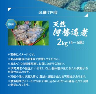 ■ エメラルドブルーの美しい海で獲れた天然伊勢海老 2kg（4～6尾）　W057-003u