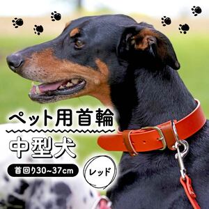 ペット用首輪 中型犬用 レッド 首回り30-37cm ペット 犬 愛犬 ワンちゃん 中型犬 首輪 リード 本革 レザー 牛革 牛 散歩 さんぽ ウォーキング 健康 おしゃれ 消耗品 大阪府 松原市