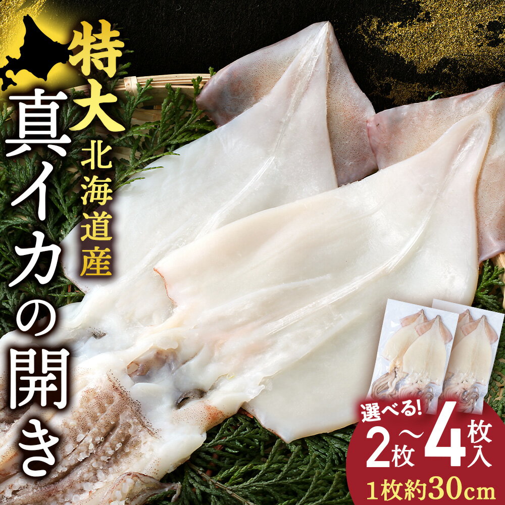 【ふるさと納税】北海道産 真イカ開き(加熱用) 選べる2枚～4枚 1パック2枚入り〈斉藤水産〉AM156 AM157いか 烏賊 イカ 真いか 真イカ 開き 加熱用 パック 海産物 北海道ふるさと納税 白老 ふるさと納税 北海道