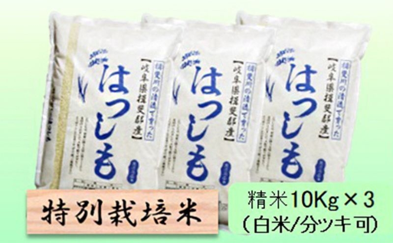 
            【令和7年産】特別栽培米 30kg【白米、7分ツキ】（ハツシモ） [№5644-1593]
          