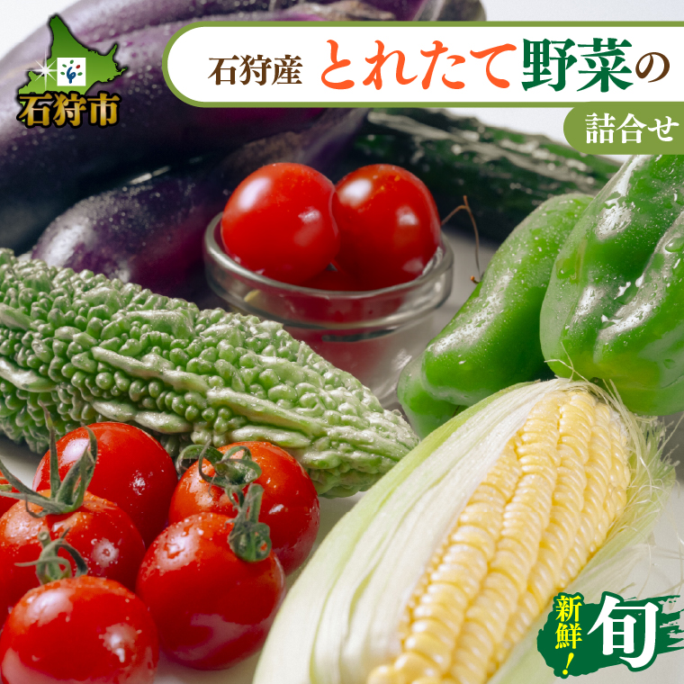 130084 【先行予約受付中】石狩産 とれたて野菜の詰合せ（なす、きゅうり、ピーマン、ゴーヤ、ミニトマト、とうもろこし）