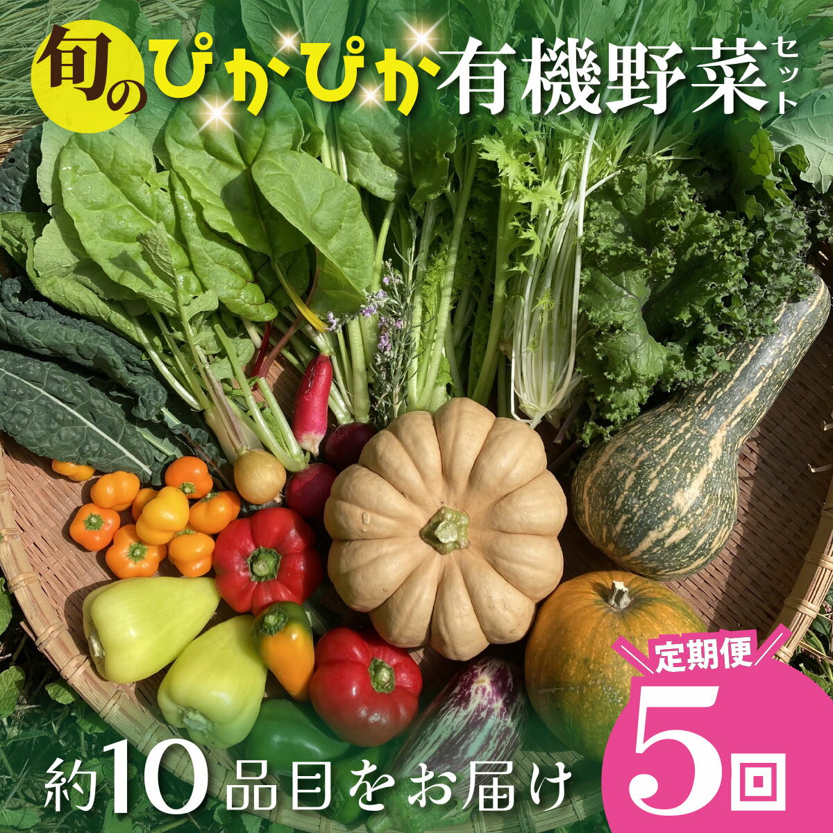 【ふるさと納税】農薬化学肥料不使用 雲の上ガーデンのぴかぴか野菜セット（5回お届け）季節にあわせて10品目前後を毎月お届け【L002】季節 旬 詰め合わせ 採れたて 新鮮 産地直送 高知県産 冷蔵便 定期便