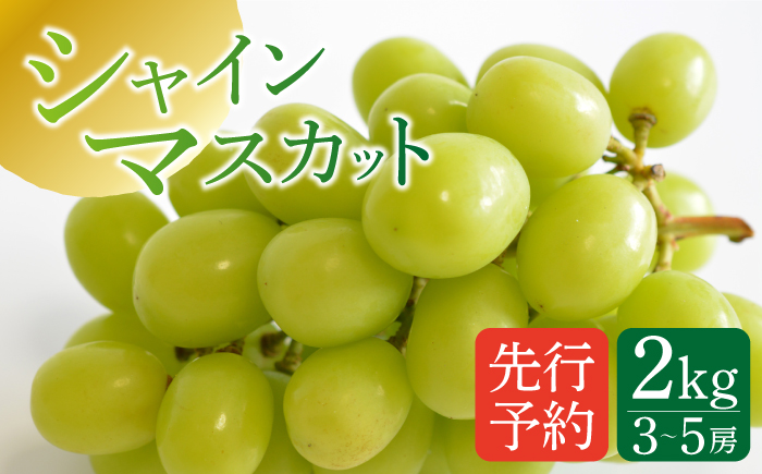 【2025年8月～発送】【南島原産】シャインマスカット 2kg（3～5房）/ ぶどう 葡萄 ブドウ 果物 くだもの フルーツ / 南島原市 / ながいけ [SCH036]
