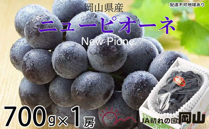 ぶどう 2026年 先行予約 ニュー ピオーネ 約700g×1房 8月下旬〜10月上旬発送 ブドウ 葡萄  岡山県産 国産 フルーツ 果物 ギフト 岡山の葡萄 デザート 食後