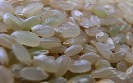 2025年産　農薬アレルギーの方でも安心！「残留農薬０の米R」玄米ひとめぼれ５kg 【285】
