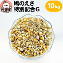 【ふるさと納税】鳩のえさ 特別配合G 10kg×1袋 サイトウ・コーポレーション 飼料