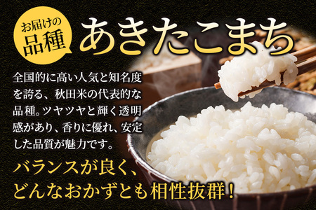 ＜令和7年産 新米受付＞《定期便2ヶ月》米【白米】米どころ秋田県大仙市産 あきたこまち 精米 10kg（5kg×2袋）