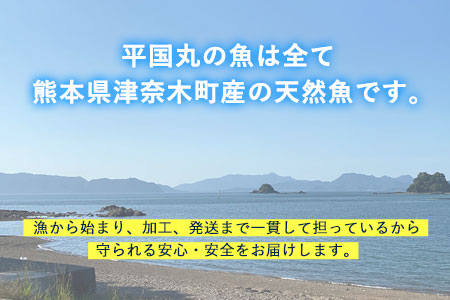 瞬間凍結さしみ漬け(80g×6パック)《30日以内に順次出荷(土日祝除く)》熊本県 葦北郡 津奈木町 平国丸 旬 旬の魚 刺身 真鯛 太刀魚 コショウダイ スズキ 赤カマス
