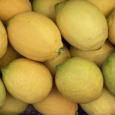 ふるさと納税 大崎上島町 【1月〜4月発送】 瀬戸内レモン 約3kg(30個程度) |  | 01