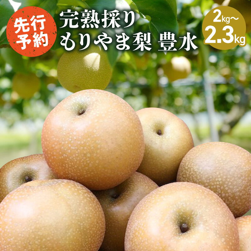 【ふるさと納税】先行予約　完熟採り　もりやま梨（豊水）2キロ～2.3キロ
