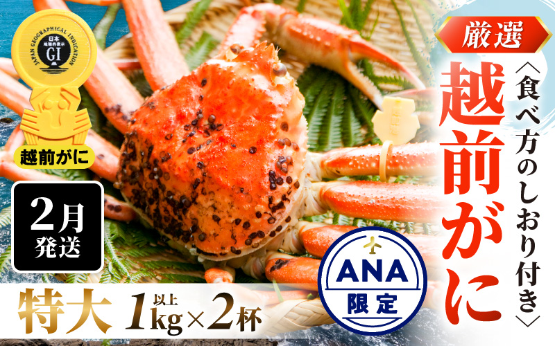 【ANA限定】≪浜茹で≫越前がに 特大サイズ 2杯（生で1杯1kg～1.2kg以上）食べ方しおり付【 雄 ズワイガニ かに カニ 蟹 越前ガニ 姿 ボイル 冷蔵 福井県】【2月発送分】希望日指定可 備考欄に希望日をご記入ください [e14-x024【】02]