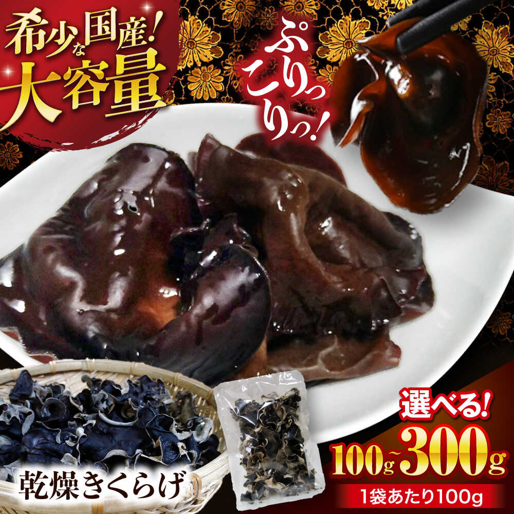 【ふるさと納税】【希少な国産品】【選べる！大容量】大洲産 乾燥きくらげ （100g〜300g）| おすすめ きくらげ 国産 おつまみ 料理 乾物 大洲市/大洲市森林組合[AGBK008] 5000 5000円 以上 10000 10000円 以上 15000 15000円 以下