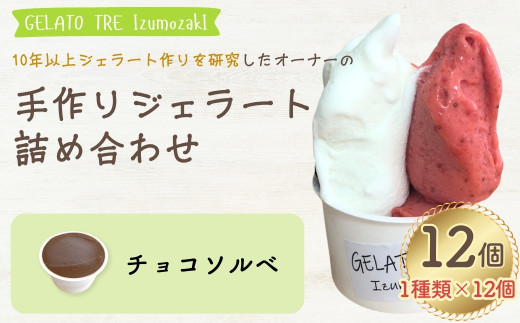 【手作りジェラート】アイスクリーム 詰め合わせ 1種類 選べる（12個入）「チョコ」 新潟県 出雲崎町