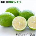 【ふるさと納税】有田産の安心国産レモン約3kg(サイズ混合)
