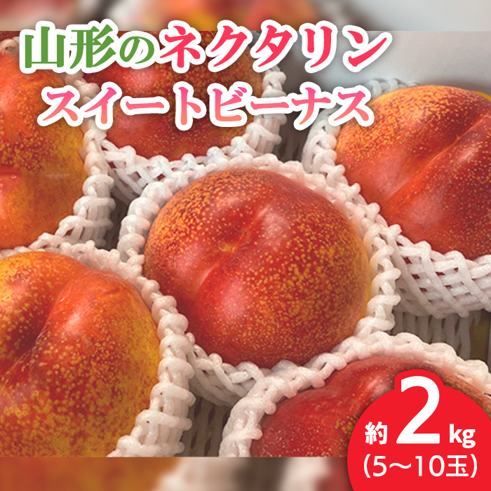 山形のネクタリン(スイートビーナス)約2kg(5～10玉) 【令和6年産先行予約】FU22-799