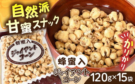お菓子 蜂蜜入りジャイアントコーン 120g×15袋  [AICA004] お菓子