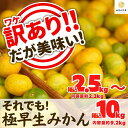 【ふるさと納税】訳あり 極早生 箱込 2.5～10kg サイズミックス 有田みかん 和歌山県産 【みかんの会】