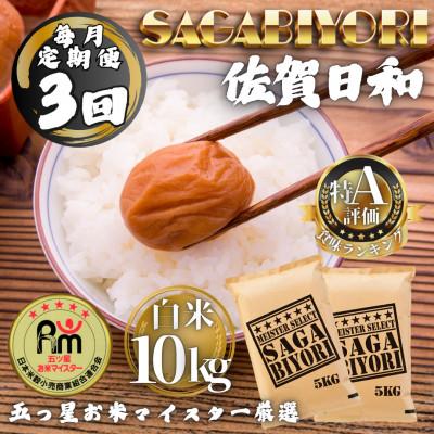ふるさと納税 多久市 【毎月定期便】さがびより白米10kg(5kg×2袋)(多久市)全3回