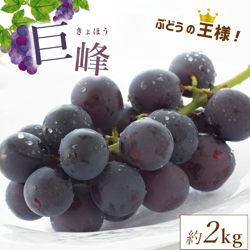 【ふるさと納税】【 先行予約 】 数量限定 熊本県和水町産 巨峰 約2kg ＜8月より順次発送予定＞ | 熊本県 熊本 くまもと 和水町 なごみ ぶどう ブドウ 葡萄 巨峰 2kg 2000g