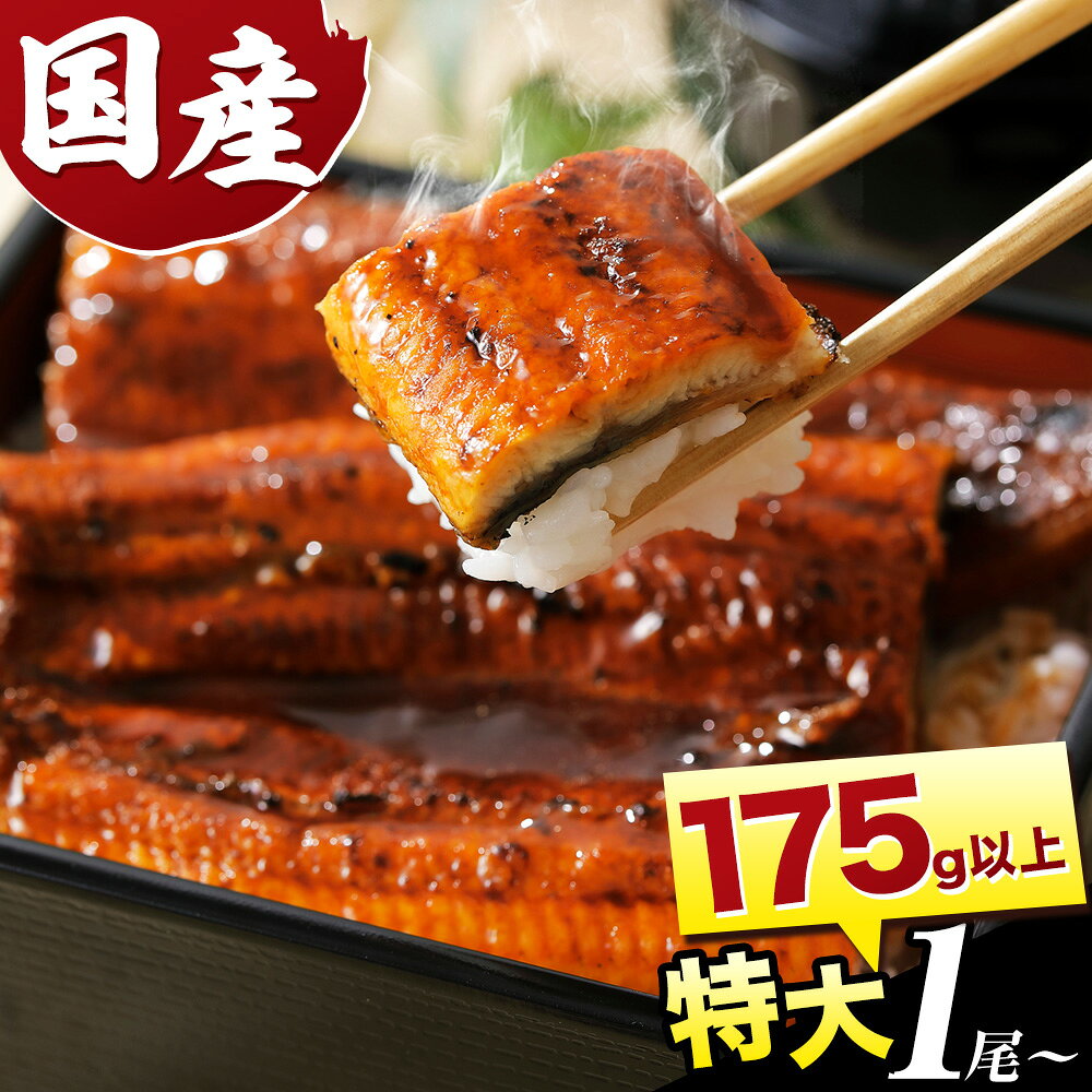 【ふるさと納税】数量限定『特大』1尾 3尾～6尾 きざみ鰻付 《7-14営業日以内に出荷予定 (土日祝除く)》ふるさと納税 うなぎ 鰻 鰻の蒲焼き 高級 徳島県 上板町 ウナギ 土用の丑の日 贈答 夏ギフト