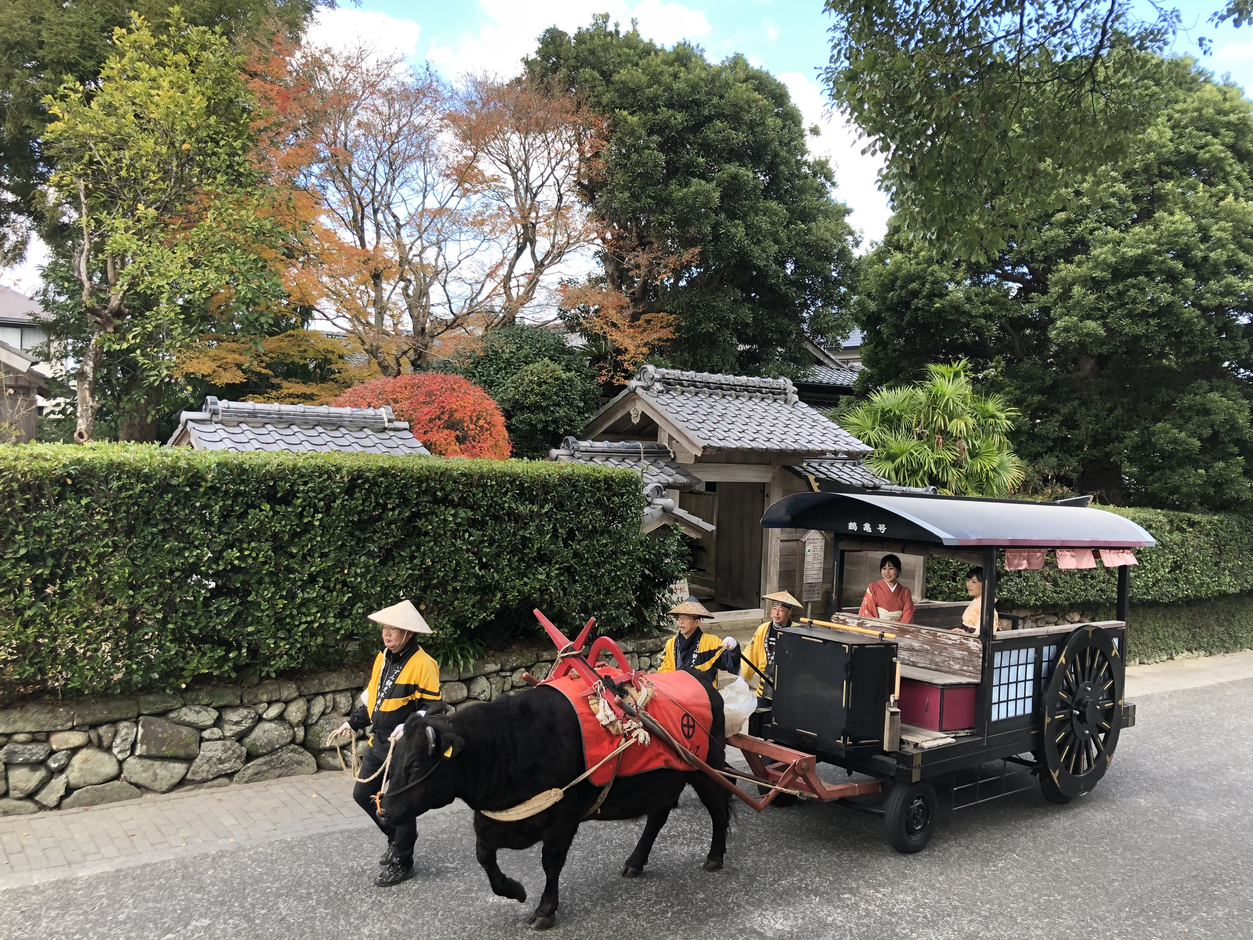 
特定非営利活動法人　いずみ観光牛車会（返礼品なし）
