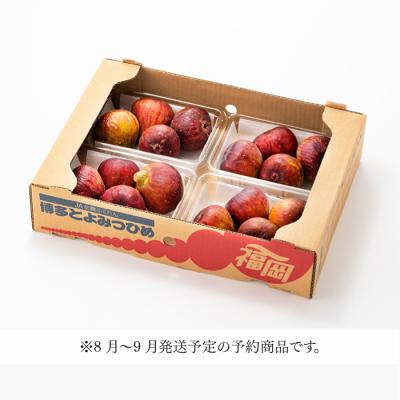 ふるさと納税 新宮町 九州・福岡フルーツ王国より直送.いちじく(とよみつ姫)約1kg/2026年8月〜9月配送.AA267 |  | 03